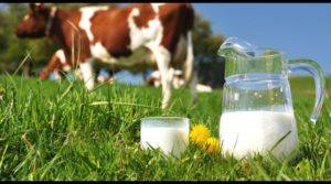 Paises productores de leche de vaca